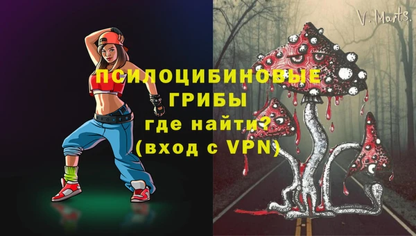 МДПВ Козловка