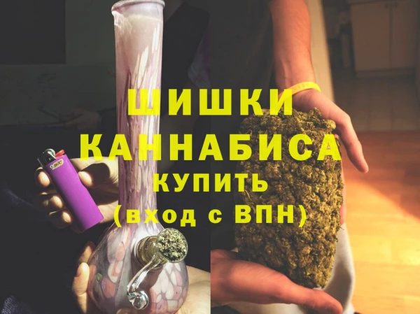 apvp Козельск